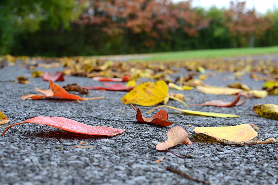 Why Fall Is The Best Time To Complete Asphalt Maintenance?